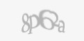 Varnostna koda