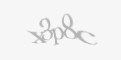 Varnostna koda